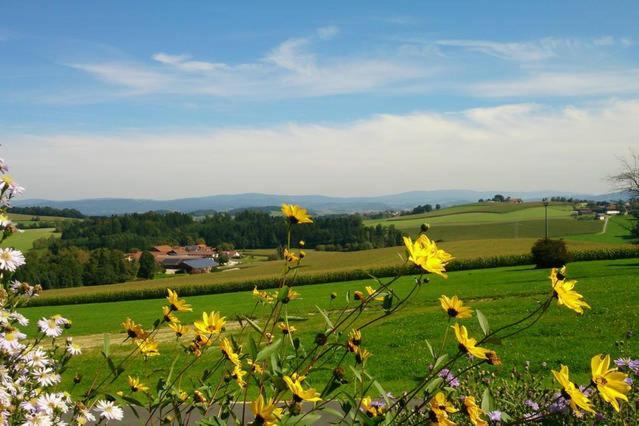 Ferienwohnung Im Bayerischen Wald Tittling Zewnętrze zdjęcie
